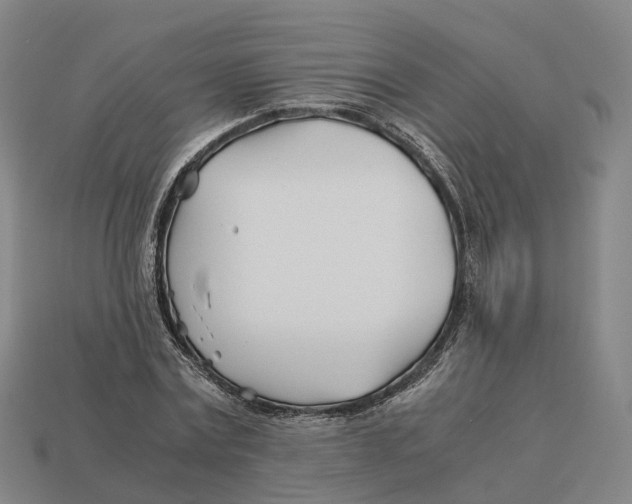 X0000113090779200909251009