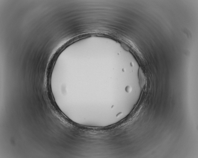 X0000113090780200909251009