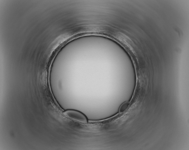 X0000113090781200909251009