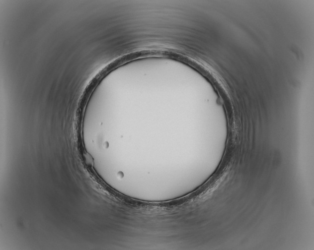 X0000113090783200909251009