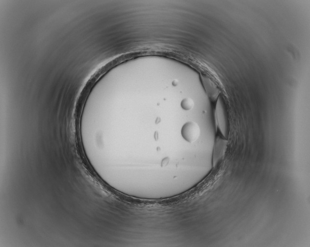 X0000113090784200909251009
