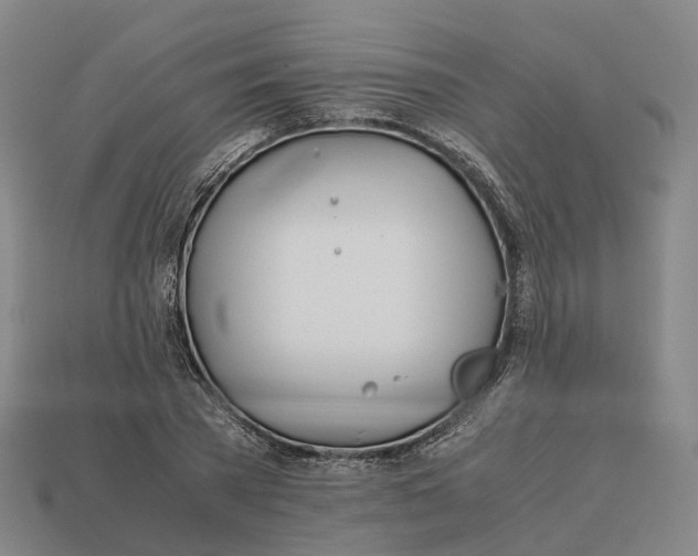 X0000113090785200909251009