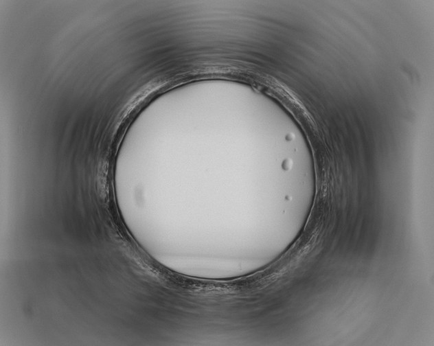X0000113090786200909251009