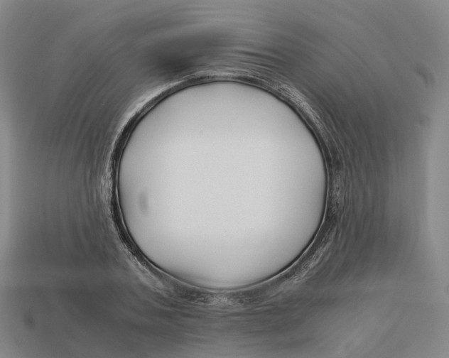 X0000113090787200909251009