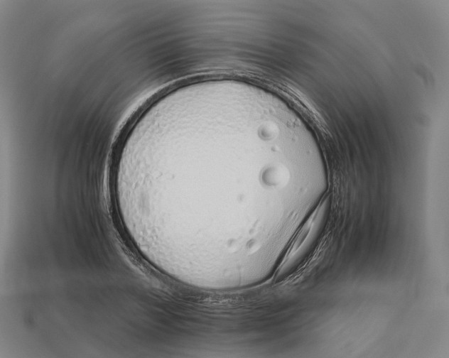 X0000113090788200909251009