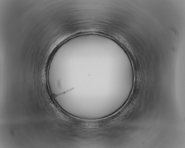 X0000113090789200909251009