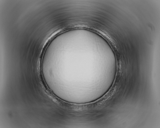 X0000113090790200909251009