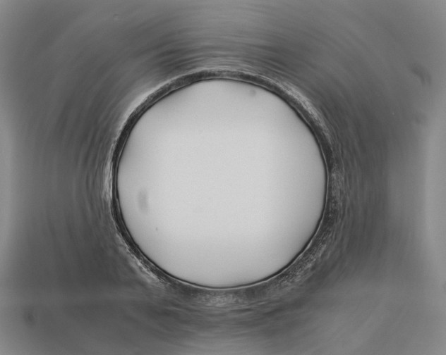 X0000113090791200909251009