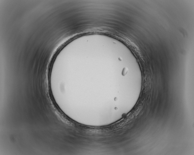 X0000113090792200909251009