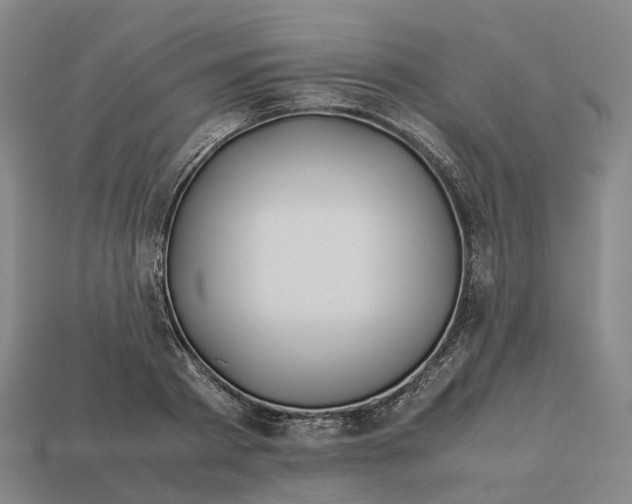 X0000113090793200909251009