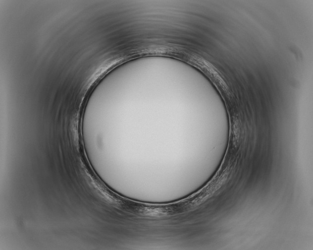 X0000113090794200909251009