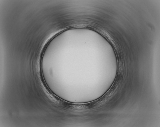 X0000113090795200909251009