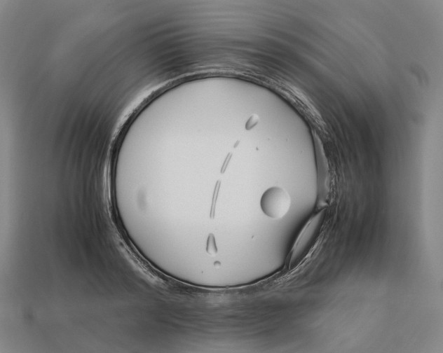 X0000113090796200909251009