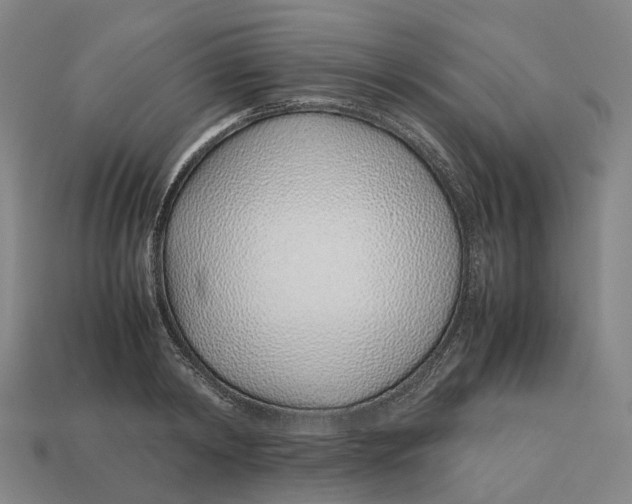 X0000113090798200909251009
