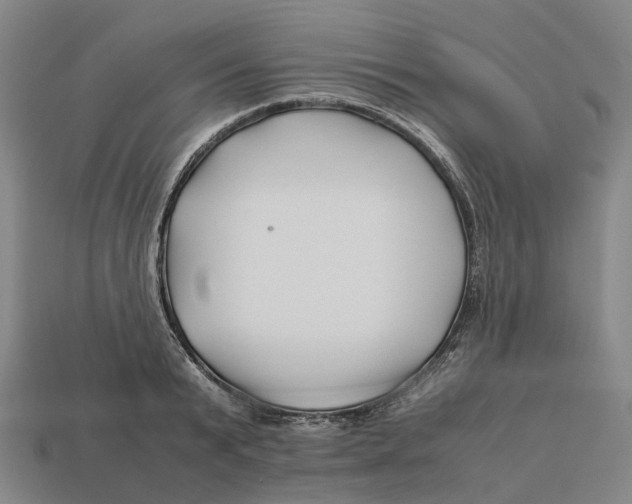 X0000113090799200909251009