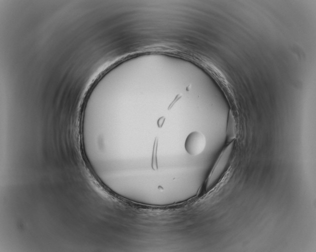 X0000113090800200909251009