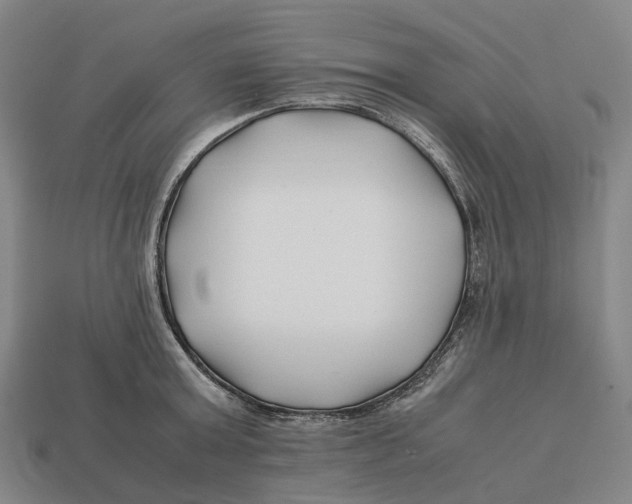 X0000113090803200909251009