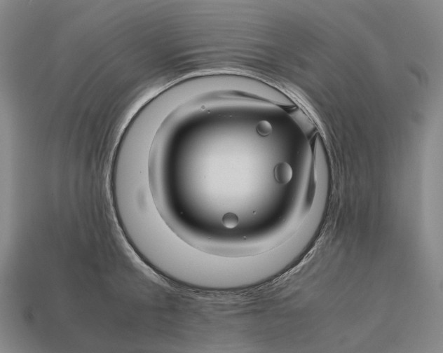 X0000113090805200909251009