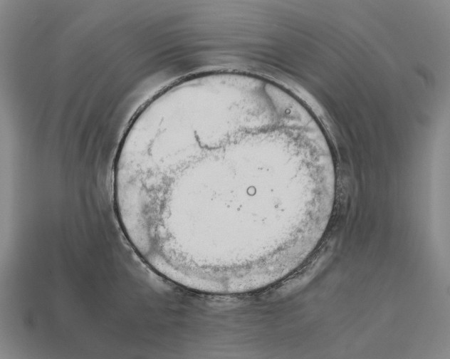 X0000113090807200909251009