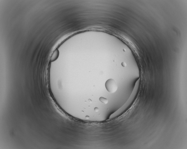 X0000113090808200909251009