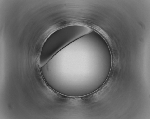 X0000113090809200909251009