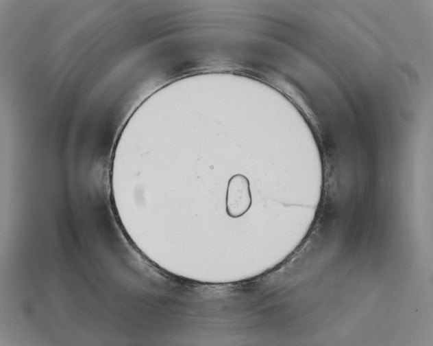 X0000113090810200909251009