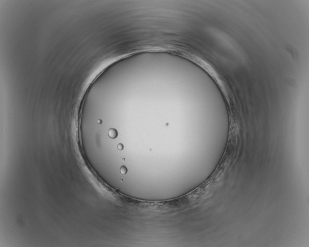 X0000113090811200909251009
