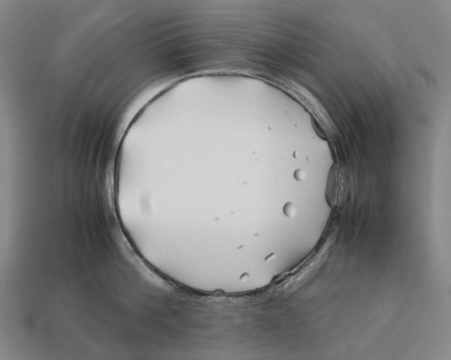 X0000113090812200909251009
