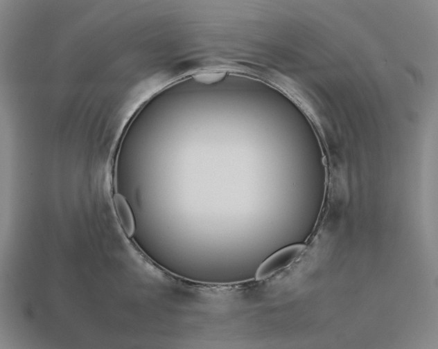 X0000113090813200909251009
