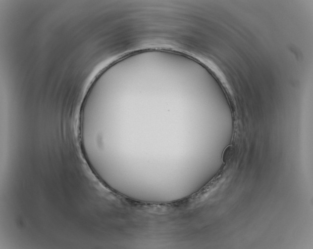 X0000113090815200909251009