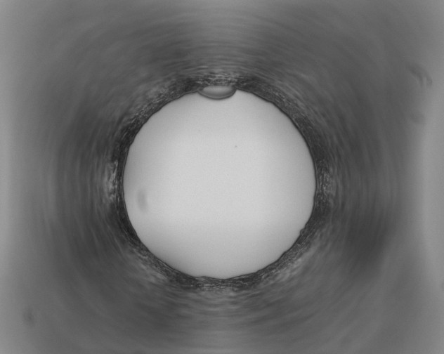 X0000113090818200909251008