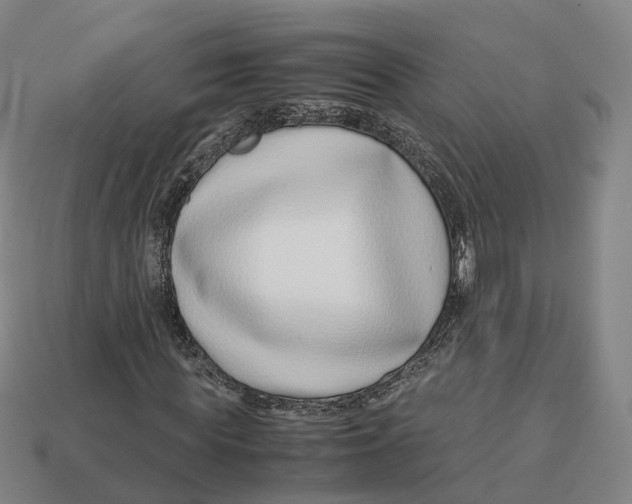 X0000113090819200909251008