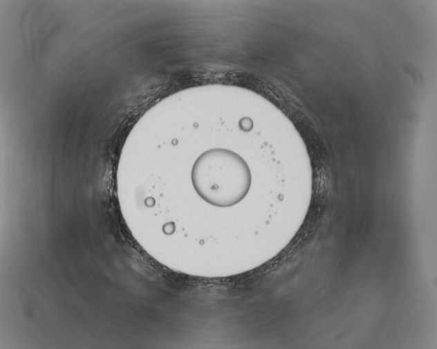 X0000113090820200909251008