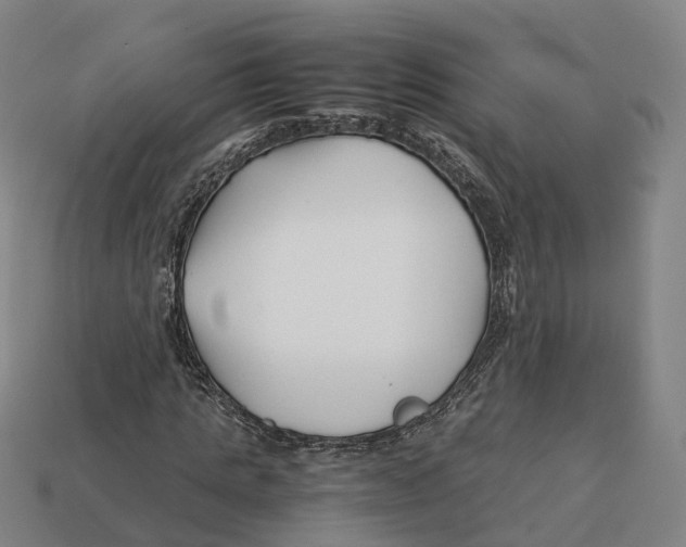 X0000113090821200909251008