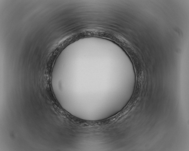 X0000113090822200909251008