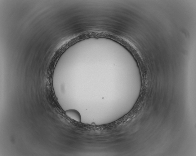 X0000113090823200909251008