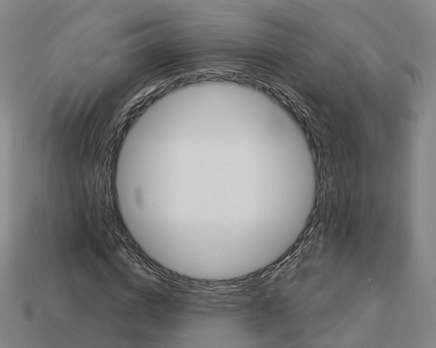 X0000113090824200909251008