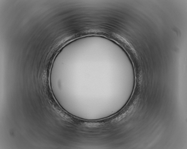 X0000113090825200909251008