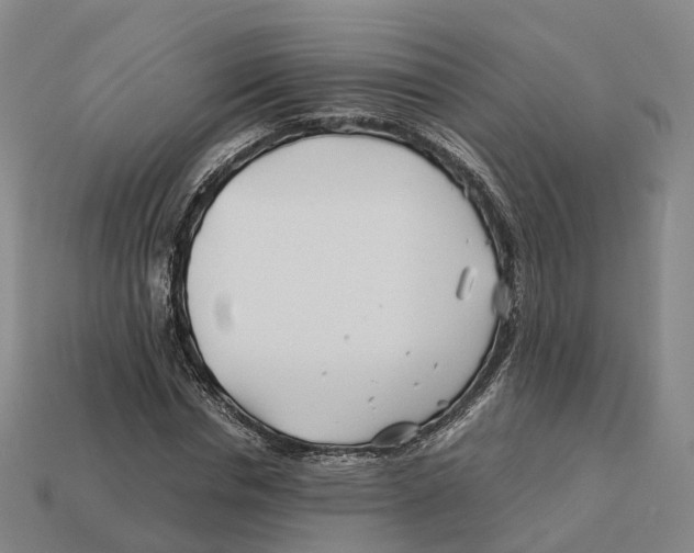 X0000113090826200909251008