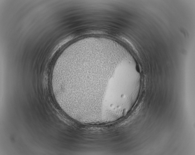 X0000113090827200909251008