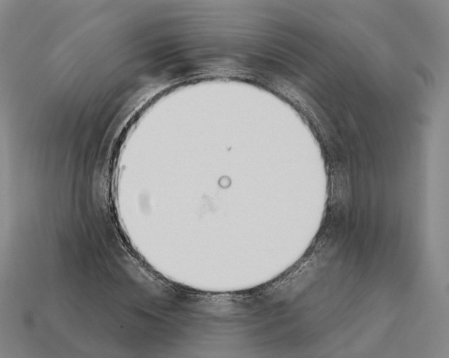 X0000113090828200909251008