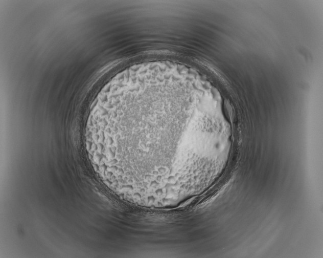 X0000113090829200909251008