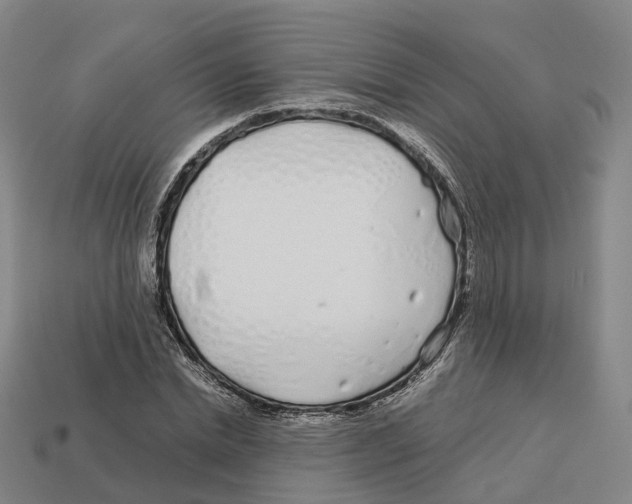X0000113090830200909251008