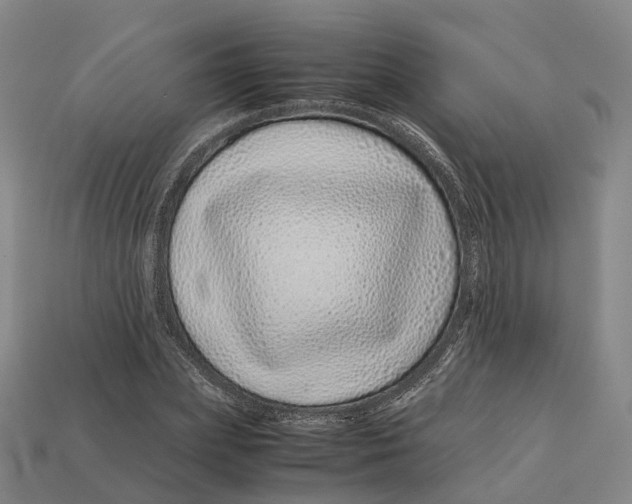 X0000113090831200909251008