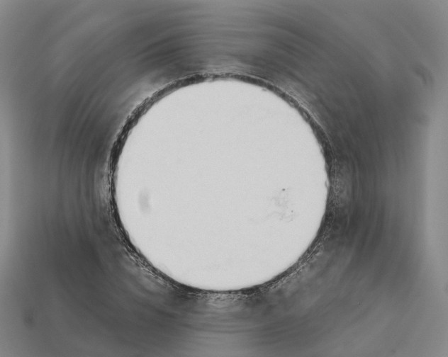 X0000113090832200909251008