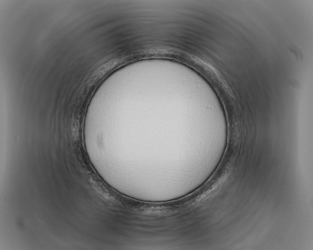 X0000113090833200909251008