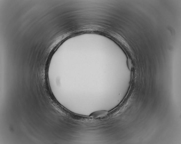 X0000113090834200909251008