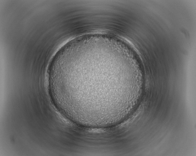 X0000113090835200909251008