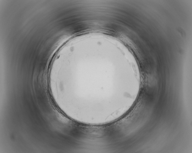 X0000113090836200909251008
