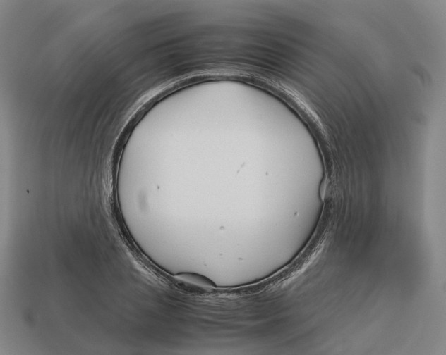 X0000113090837200909251008
